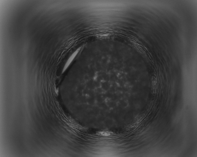 X0000052650654200507160224