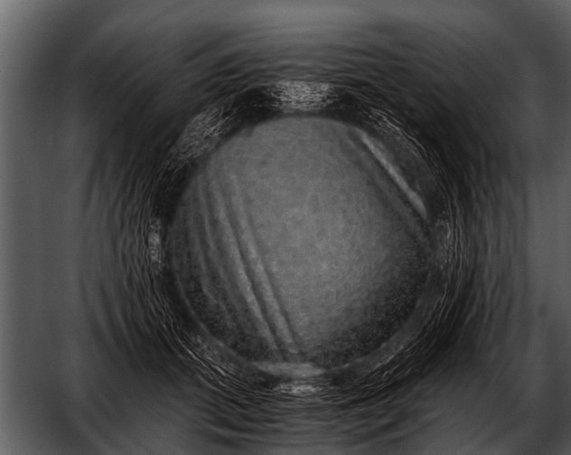 X0000052650655200507160224