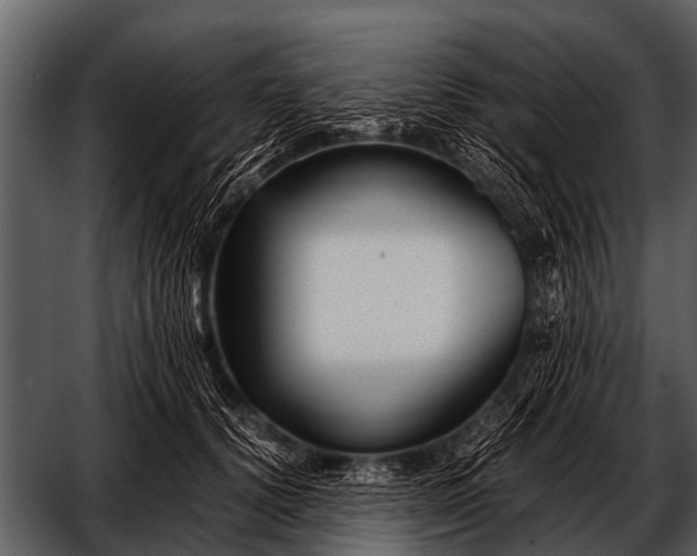 X0000052650656200507160224