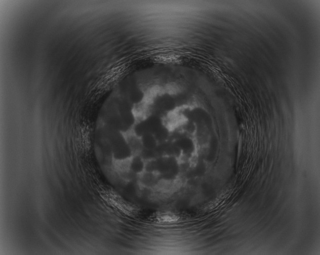 X0000052650658200507160224