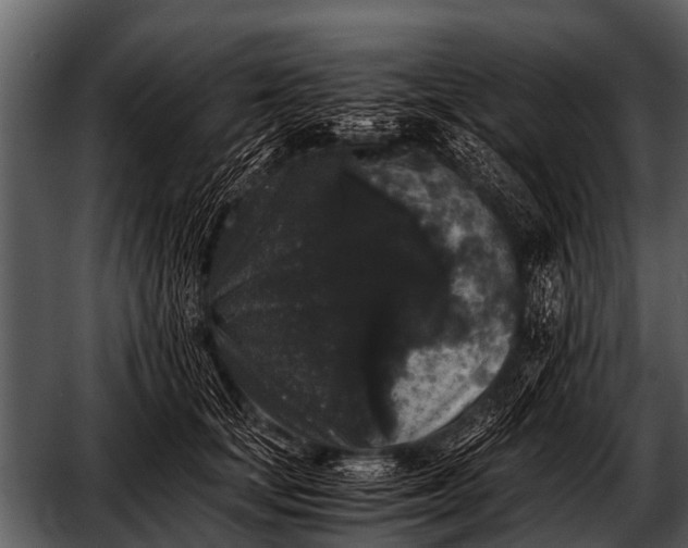 X0000052650659200507160224