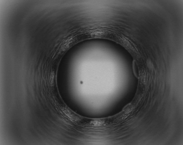 X0000052650660200507160224