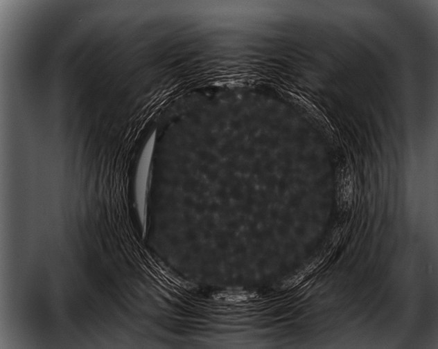 X0000052650661200507160224