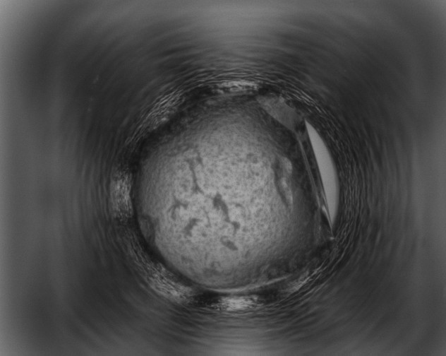 X0000052650662200507160224