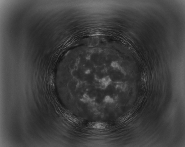 X0000052650663200507160224