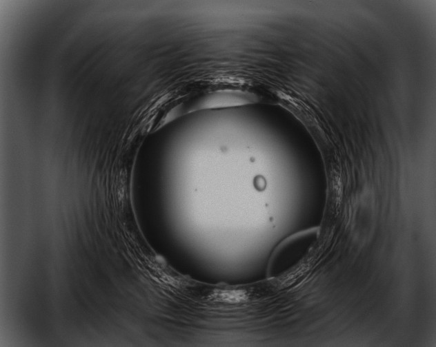 X0000052650665200507160224