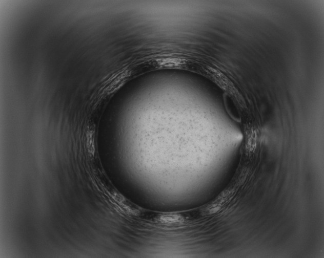 X0000052650666200507160224