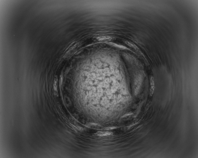 X0000052650667200507160225