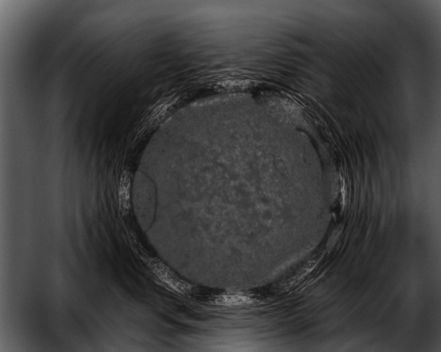 X0000052650668200507160225