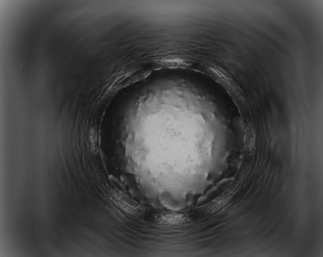 X0000052650669200507160225