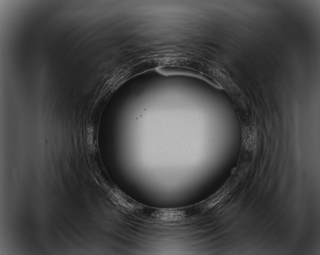 X0000052650670200507160225