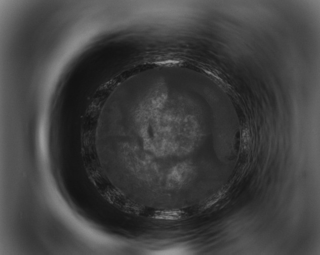 X0000052650671200507160225