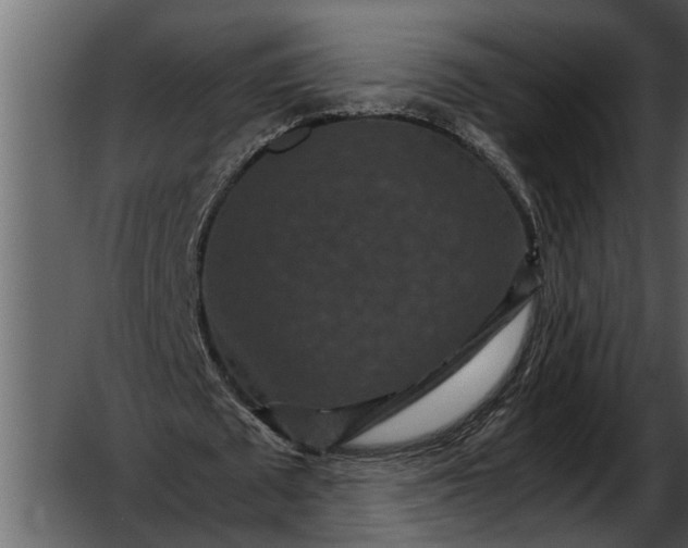 X0000052650673200507160224