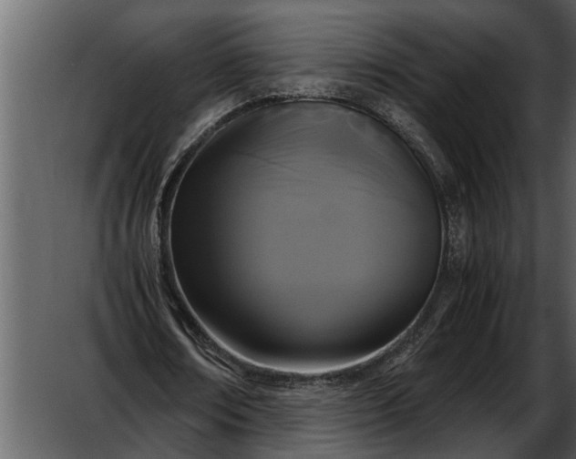 X0000052650674200507160224