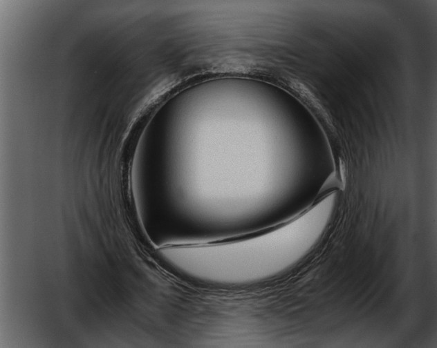 X0000052650675200507160224