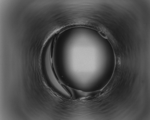 X0000052650676200507160224