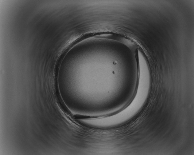 X0000052650677200507160224