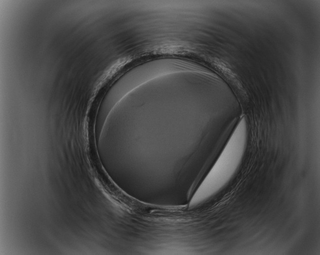 X0000052650678200507160224