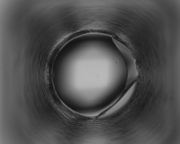 X0000052650680200507160224