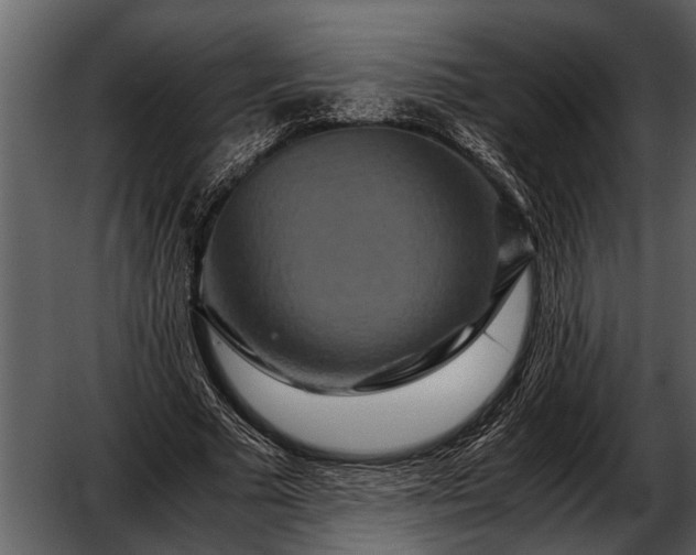 X0000052650681200507160224