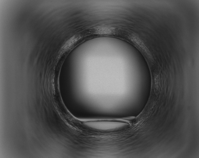 X0000052650682200507160224