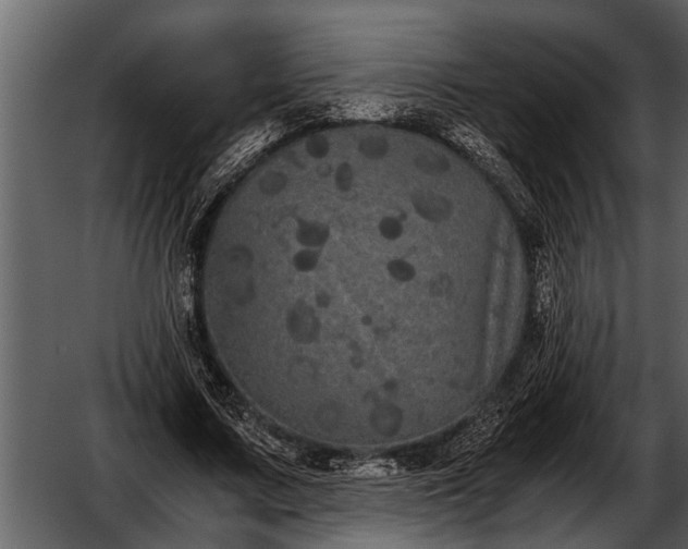 X0000052650683200507160224