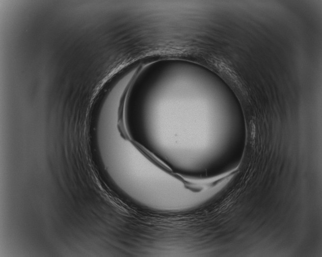 X0000052650684200507160224