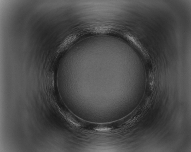 X0000052650685200507160224