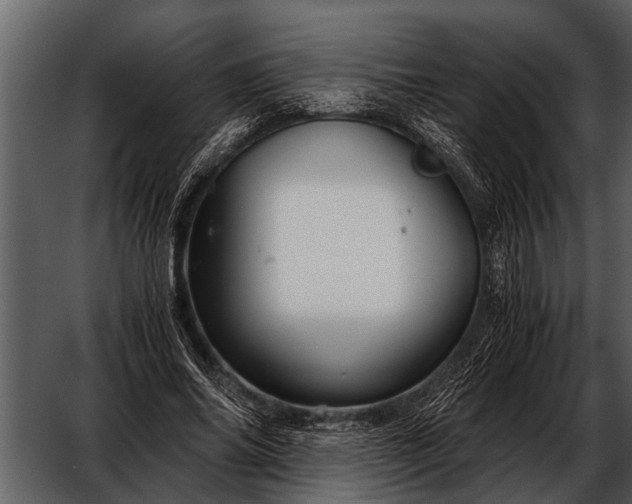 X0000052650686200507160224