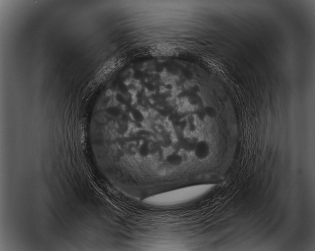 X0000052650687200507160224