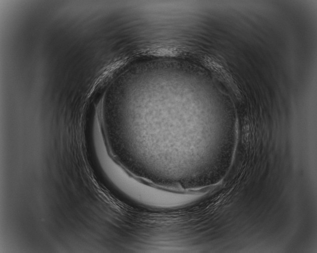 X0000052650688200507160224