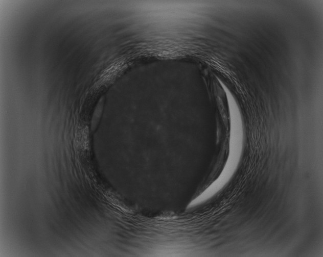 X0000052650689200507160223