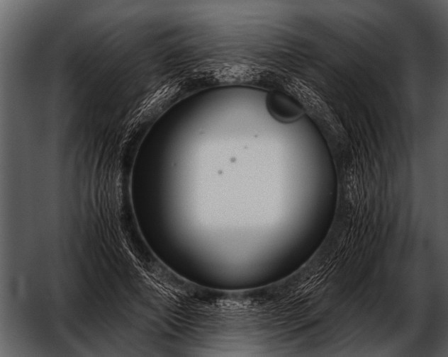 X0000052650690200507160223