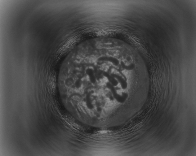 X0000052650691200507160223