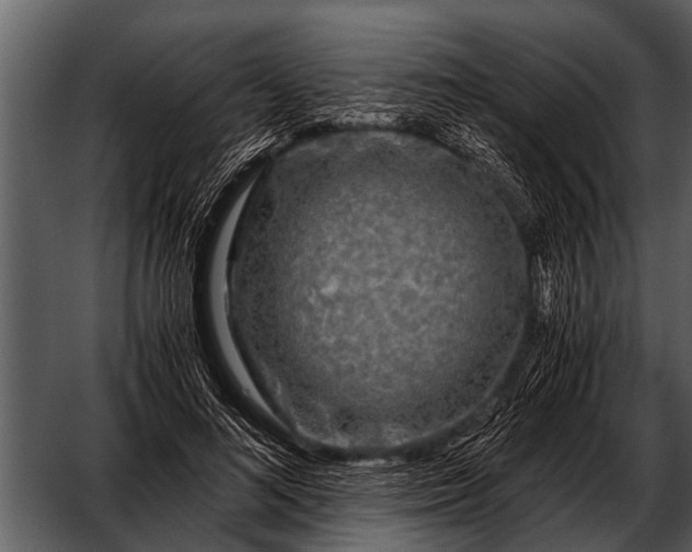 X0000052650692200507160223