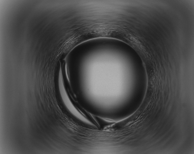 X0000052650693200507160223