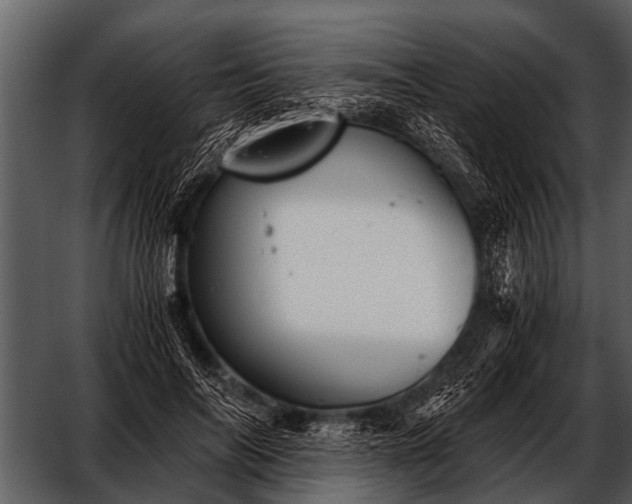 X0000052650694200507160223