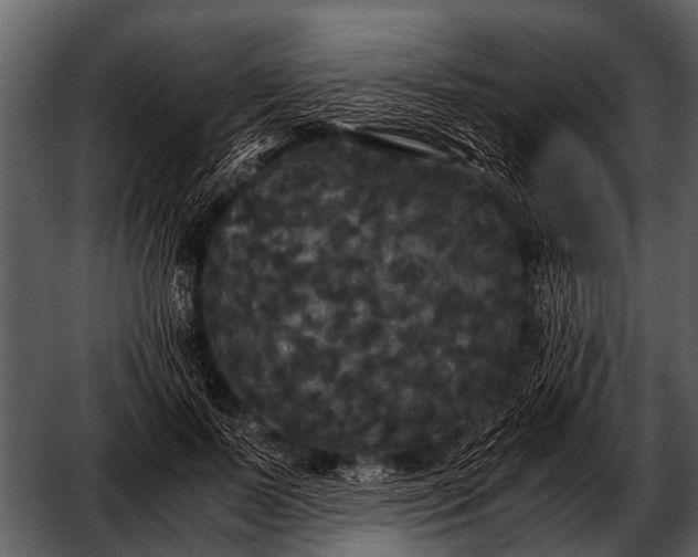 X0000052650695200507160223