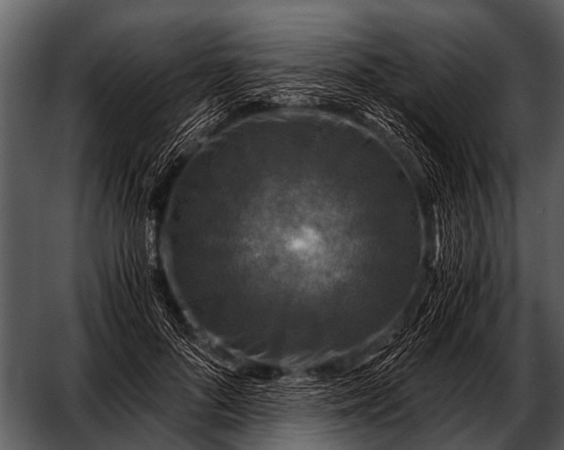 X0000052650696200507160223