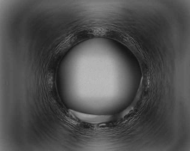 X0000052650697200507160223