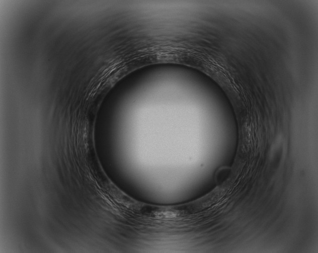 X0000052650698200507160223