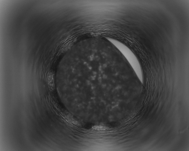 X0000052650699200507160223