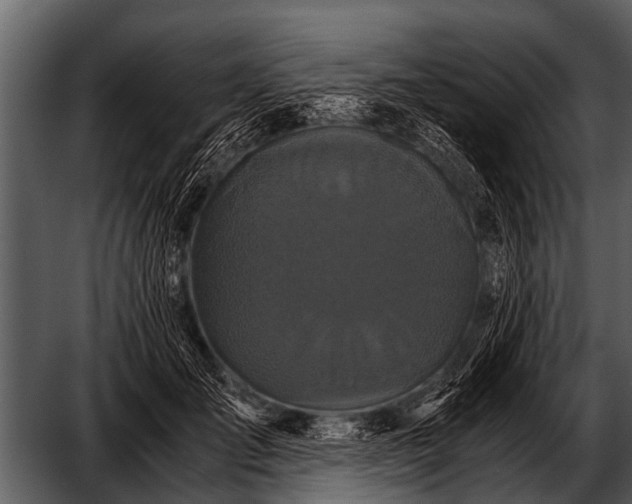 X0000052650701200507160223