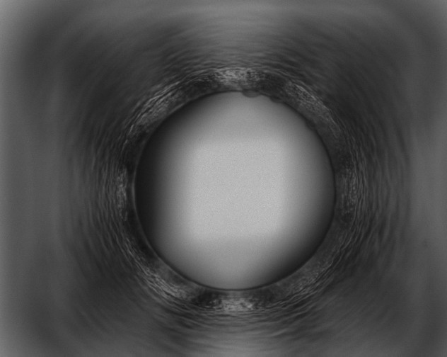 X0000052650702200507160223