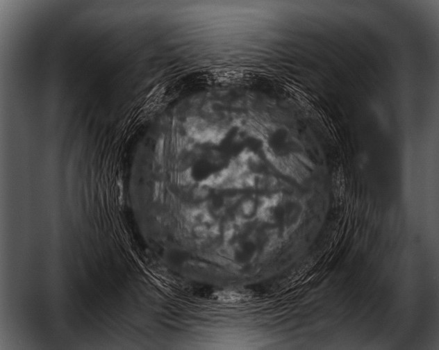 X0000052650703200507160223