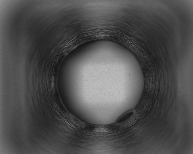 X0000052650704200507160223