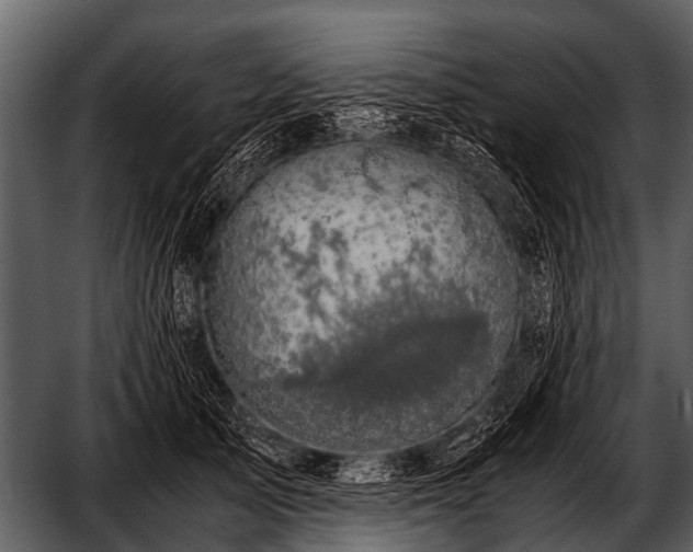 X0000052650705200507160223