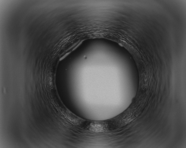 X0000052650706200507160223