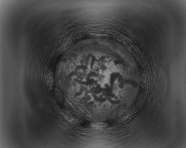 X0000052650707200507160223