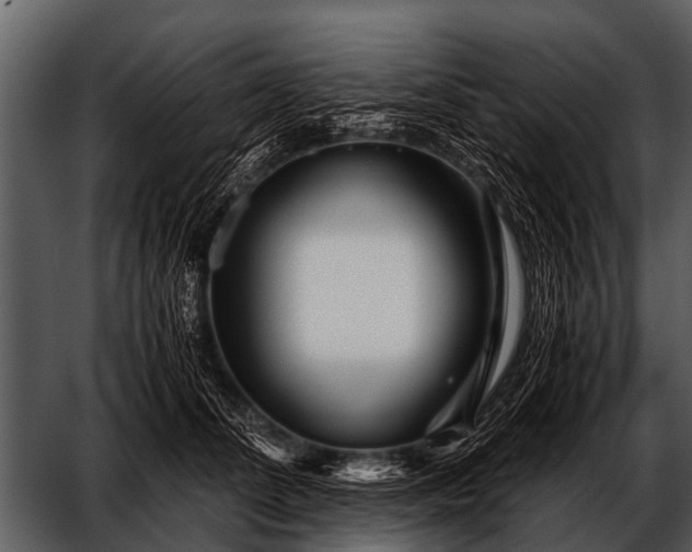 X0000052650708200507160223